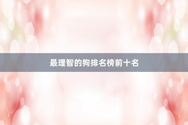 最理智的狗排名榜前十名