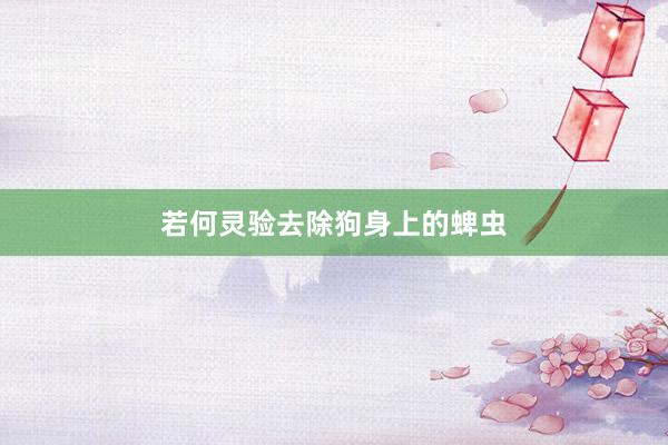 若何灵验去除狗身上的蜱虫