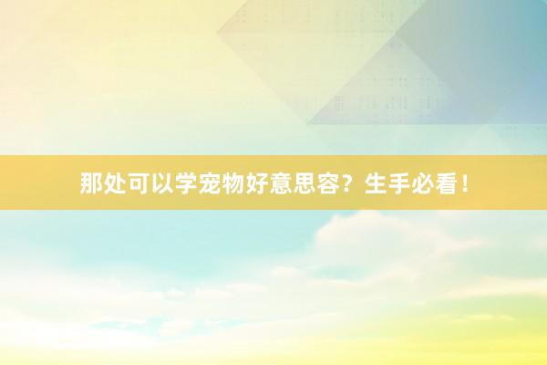 那处可以学宠物好意思容？生手必看！