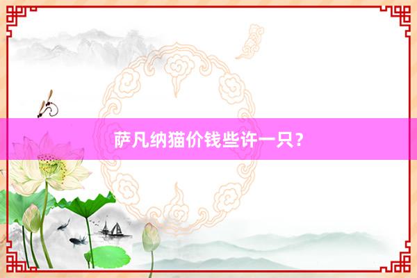 萨凡纳猫价钱些许一只？