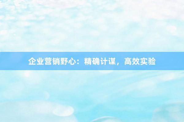 企业营销野心：精确计谋，高效实验
